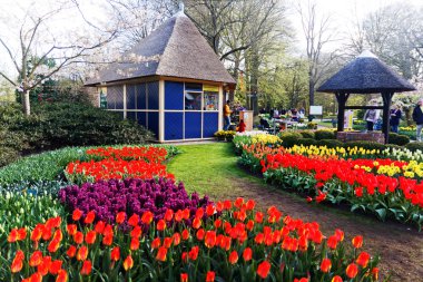 Güzel çiçek yatak Lale ile