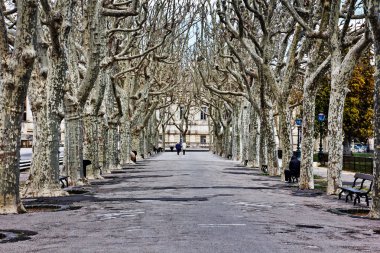 Montpellier ağaçlar sokakta yürüyen insanlar 