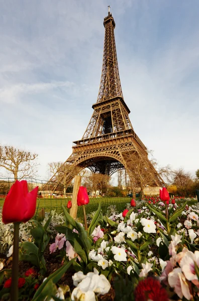 Famosa torre Eiffel en París — Foto de Stock