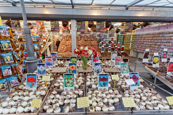 Market of flower seedlings — 图库照片