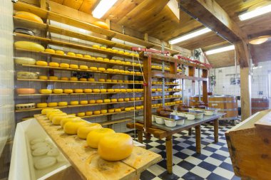 Geleneksel Hollandalı eski ahşap mimarisi