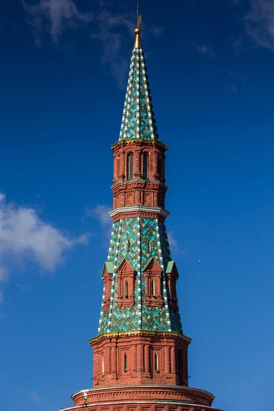 Domes of St. Basils Cathedral