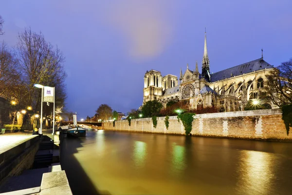 Kerk van de Notre dame in Parijs Stockfoto