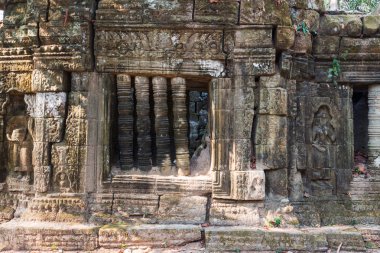 Pitoresk eski Ta Prohm Tapınağı