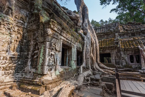 Malerischer alter ta prohm Tempel — Stockfoto