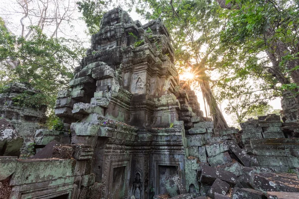 Pitoresk eski Ta Prohm Tapınağı — Stok fotoğraf