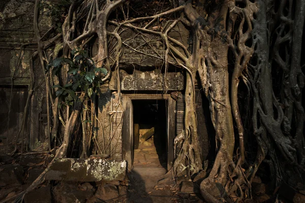 Malerischer alter ta prohm Tempel — Stockfoto