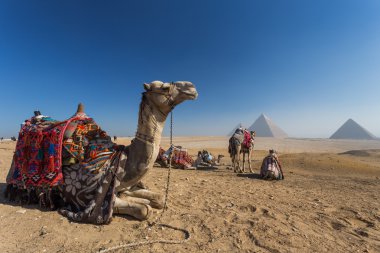 Mısır. Kahire - Giza. Giza Plat üzerinden piramitlerin genel görünümü