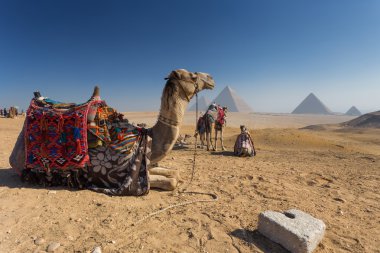 Mısır. Kahire - Giza. Piramitlerin genel görünümü 