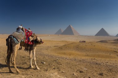 Mısır. Kahire - Giza. Piramitlerin genel görünümü 