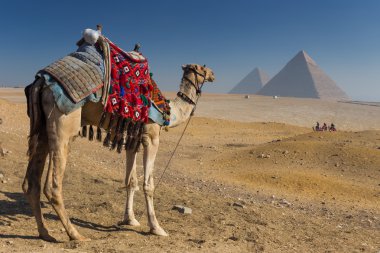 Mısır. Kahire - Giza. Piramitlerin genel görünümü 