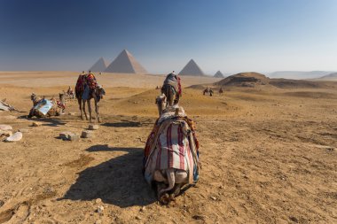 Mısır. Kahire - Giza. Piramitlerin genel görünümü 