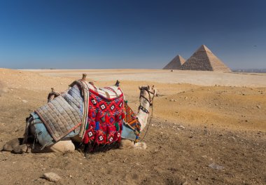 Mısır. Kahire - Giza. Piramitlerin genel görünümü 