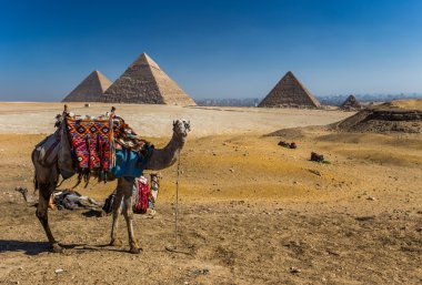 Mısır. Kahire - Giza. Giza Plat üzerinden piramitlerin genel görünümü