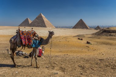 Mısır. Kahire - Giza. Giza Plat üzerinden piramitlerin genel görünümü