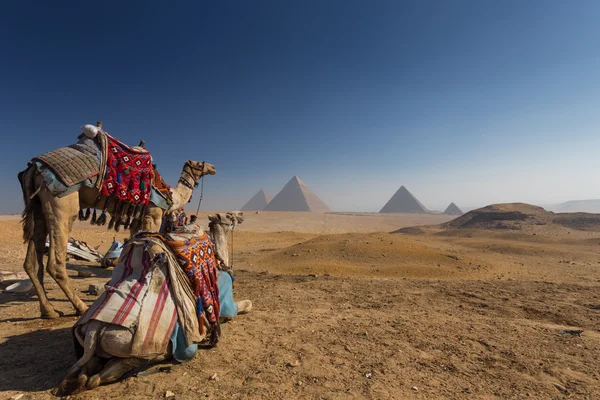 Egypt. Káhira - Gíza. Obecný pohled na pyramidy — Stock fotografie