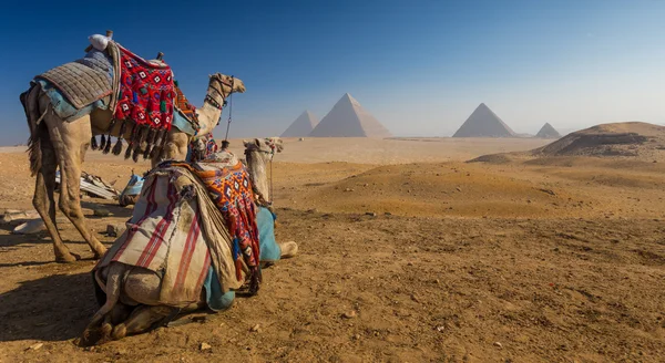Egipto. El Cairo - Giza. Vista general de las pirámides desde la planicie de Giza —  Fotos de Stock