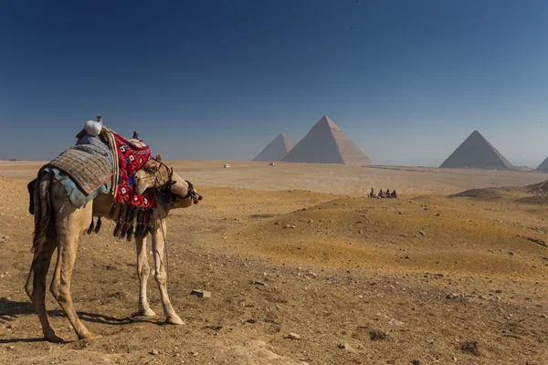 Egypten. Kairo - Giza. Allmän syn på pyramider — Stockfoto
