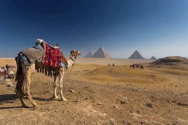 Egipto. El Cairo - Giza. Vista general de las pirámides —  Fotos de Stock