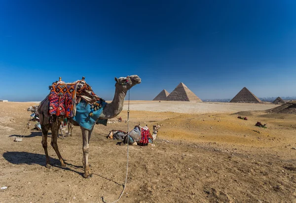 L'Egypte. Le Caire - Gizeh. Vue générale des pyramides depuis le plateau de Gizeh — Photo