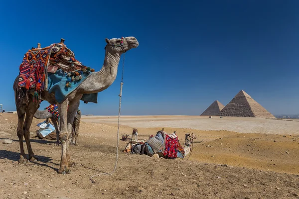 Egipto. El Cairo - Giza. Vista general de las pirámides desde la planicie de Giza — Foto de Stock