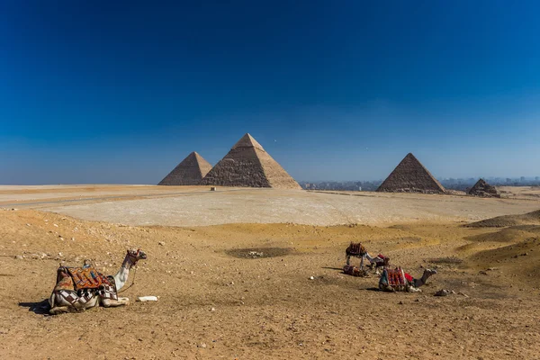 Egypten. Kairo - Giza. Övergripande uppfattning om pyramiderna från Giza Plat — Stockfoto