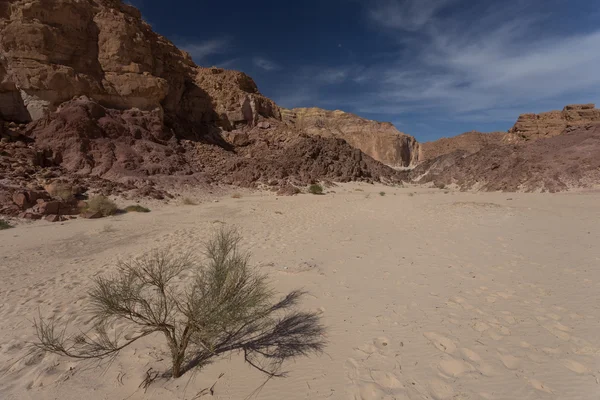 Witte canyon in Egypte — Stockfoto