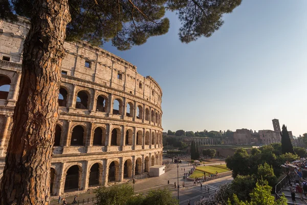 Colosseum besar terkenal di malam hari — Stok Foto
