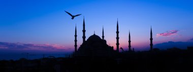 Beautiful mosque in Istanbul clipart