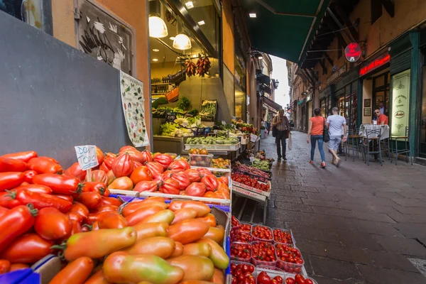 Fresh vegetables on shelves — Stock Photo, Image