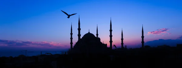 Schöne Moschee in Istanbul — Stockfoto