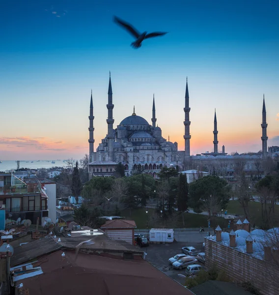 Bela mesquita em Istambul — Fotografia de Stock