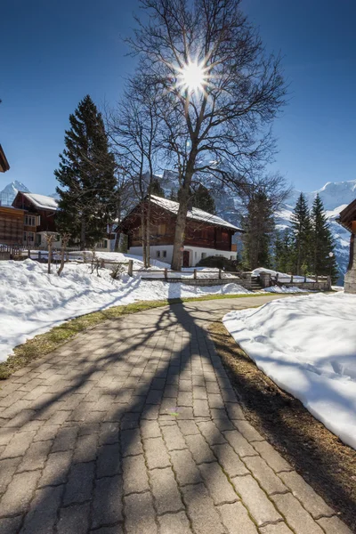 Murren, ünlü İsviçreli Kayak tesisi — Stok fotoğraf