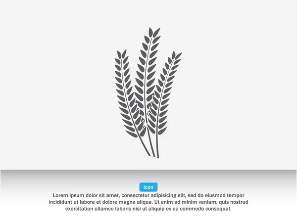 Іконка вуха пшениці — стоковий вектор
