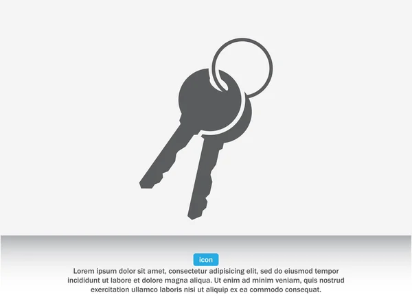 Pair of keys icon Royalty Free Stock Vectors