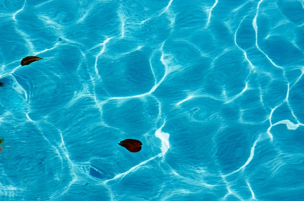 Havuz suyunda ışık oyunu.