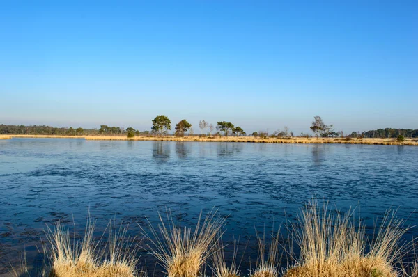 Donmuş göl ve altın renkli çimen