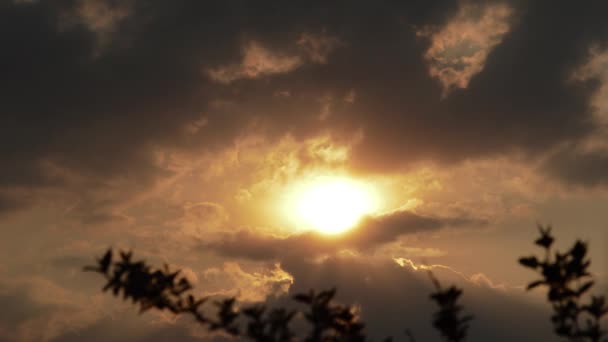 Coucher de soleil nuageux et branches bleuies — Video