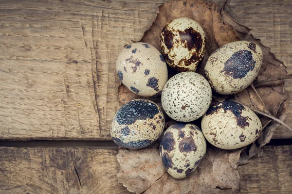 Quail eggs on the aged wooden background — Stock Photo, Image