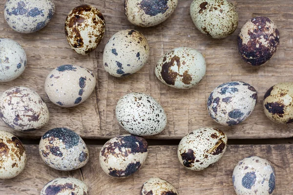 Quail eggs scattered on wooden background — Stock Photo, Image