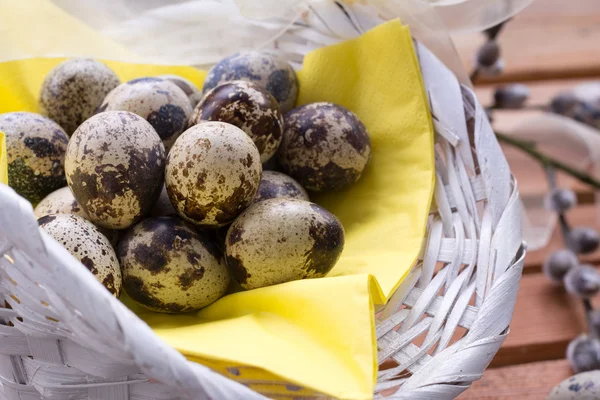 Easter background with quail eggs — Stock Photo, Image