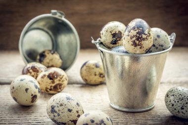 Bıldırcın yumurtası küçük dekoratif kova dolu