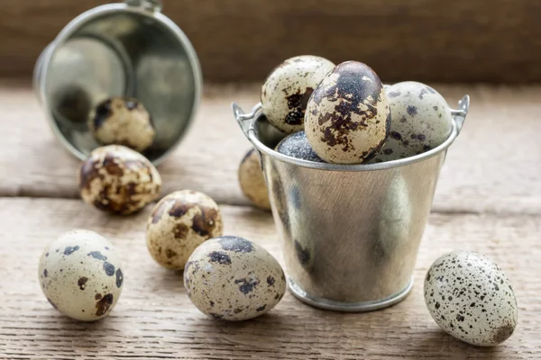 Quail eggs in small metal pails — Stock Photo, Image