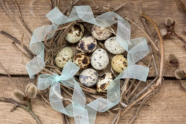 Nest with eggs of quails and  ribbon bow — Stock Photo, Image