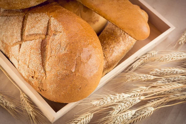 Деревянный поднос с различными хлебом и пшеничным снопом — стоковое фото
