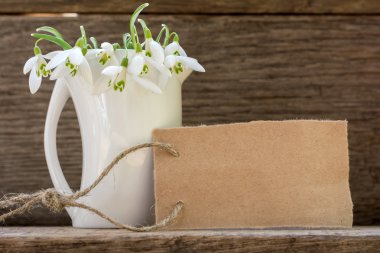 Metin arka plan üzerinde kardelen buket için boş oyun kağıdı