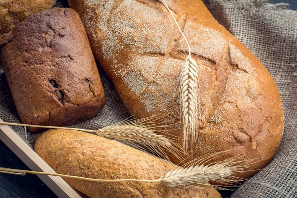 Разнообразный хлеб с колосьями пшеницы на мешковине — стоковое фото