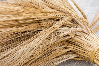 Arpa keten zemin üzerine demet 