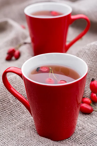 Tisane aux roses de chien en tasse rouge — Photo