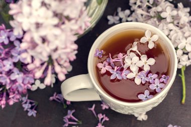 Lila çiçek açması şube ve siyah çay. Vintage sesi stil